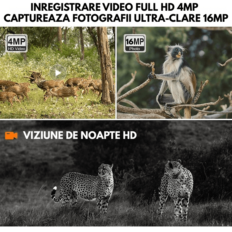 Camera de supraveghere solară 4G Taggo, 16MP foto, 4MP video, panou solar 4W, detectie mișcare, audio bidirecțional, IP66