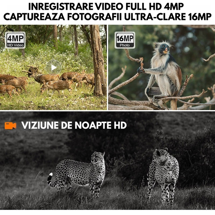 Camera Supraveghere Solara 4G, 16MP Foto, 4MP Video, Panou Solar 4W, Baterie 7800mAh, Detectie Miscarе, Audio Bidirectional, IP66 - Taggo.ro