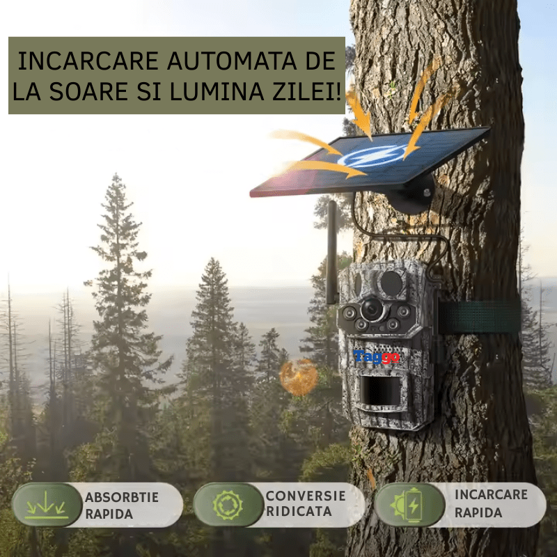 Camera de vânătoare Taggo 4G, 5MP cu funcție GPS, încărcare solară și rezistență IP66, pentru supraveghere outdoor.
