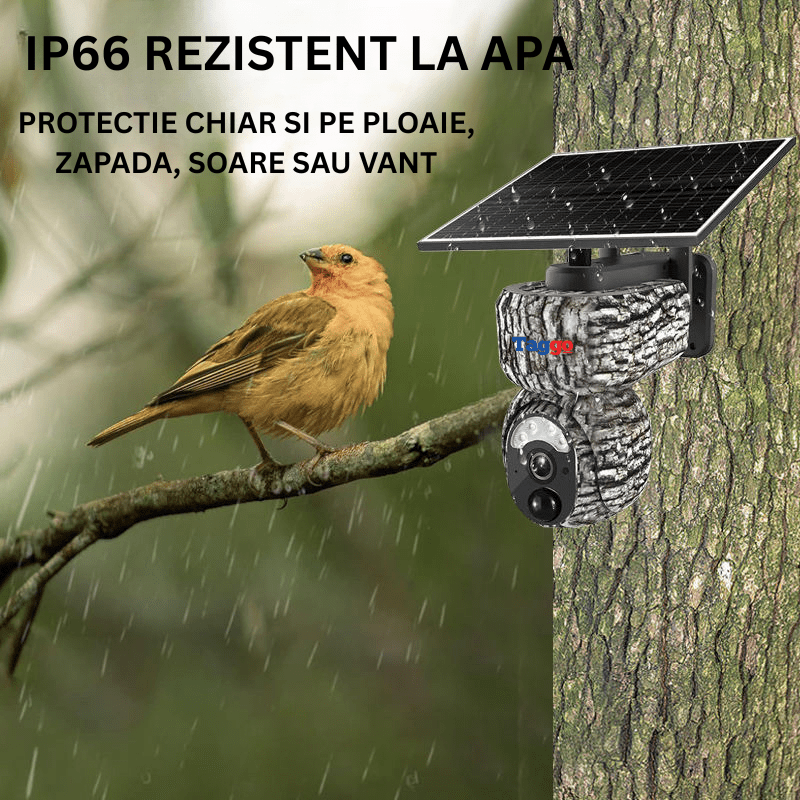 Camera de vânătoare Taggo 4MP cu conexiune 4G, GPS, detectare animale și alarmă, pentru supraveghere în natură.