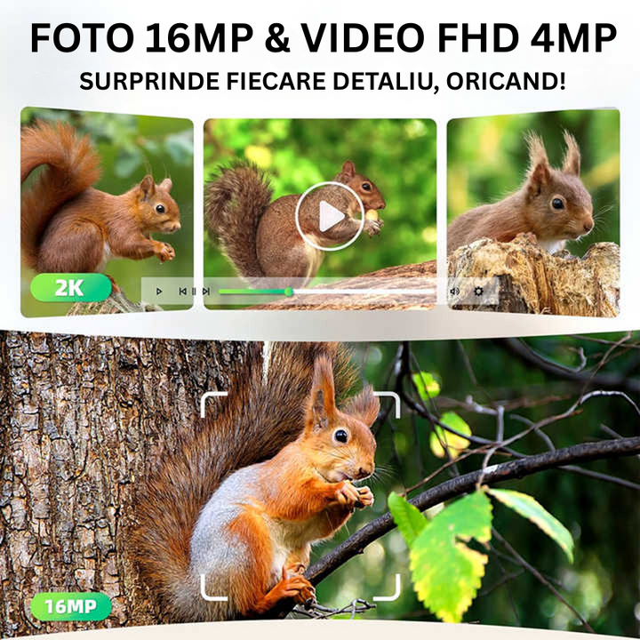 Camera Supraveghere Solara 4G cu GPS, 16MP Foto, 4MP Video, Panou Solar 4W, Baterie 7800mAh, Detectie Miscarе, Audio Bidirectional, IP65 - Taggo.ro