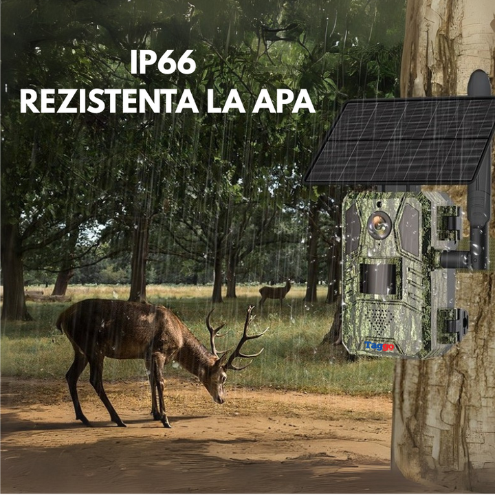 Camera Supraveghere Solara 4G, 16MP Foto, 4MP Video, Panou Solar 4W, Baterie 7800mAh, Detectie Miscarе, Audio Bidirectional, IP66 - Taggo.ro