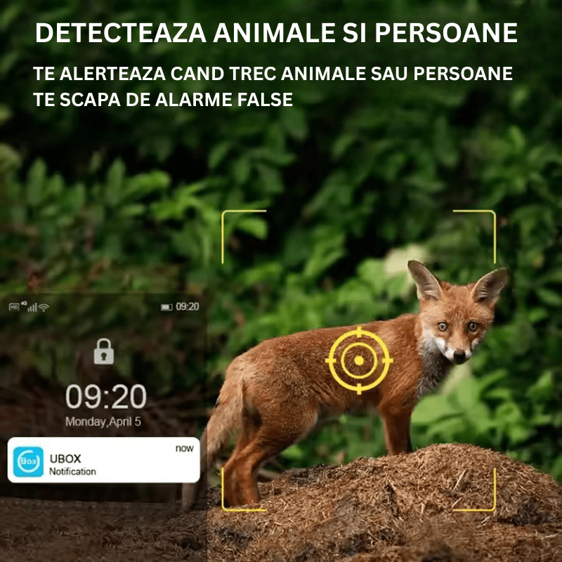 Camera de supraveghere Taggo.ro, camuflaj, 4MP, detectează animale, comunicare bidirecțională și alarmă, pentru vânătoare.