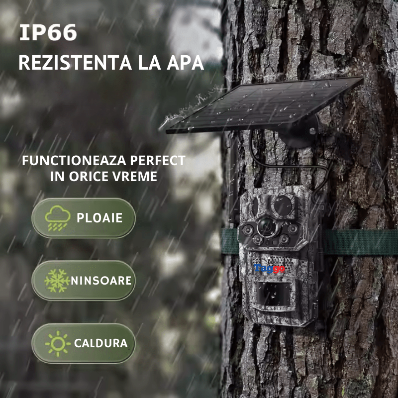 Camera de vânătoare Taggo cu conexiune 4G, 5MP, incarcare solară, GPS și rezistență IP66, pentru supraveghere exterioară.