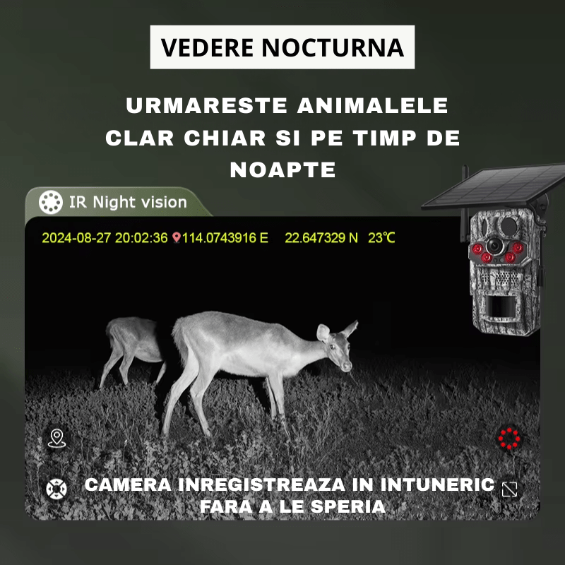 Camera de vânătoare Taggo 4G, 5MP, cu încărcare solară, GPS și rezistență IP66, pentru supraveghere în aer liber.