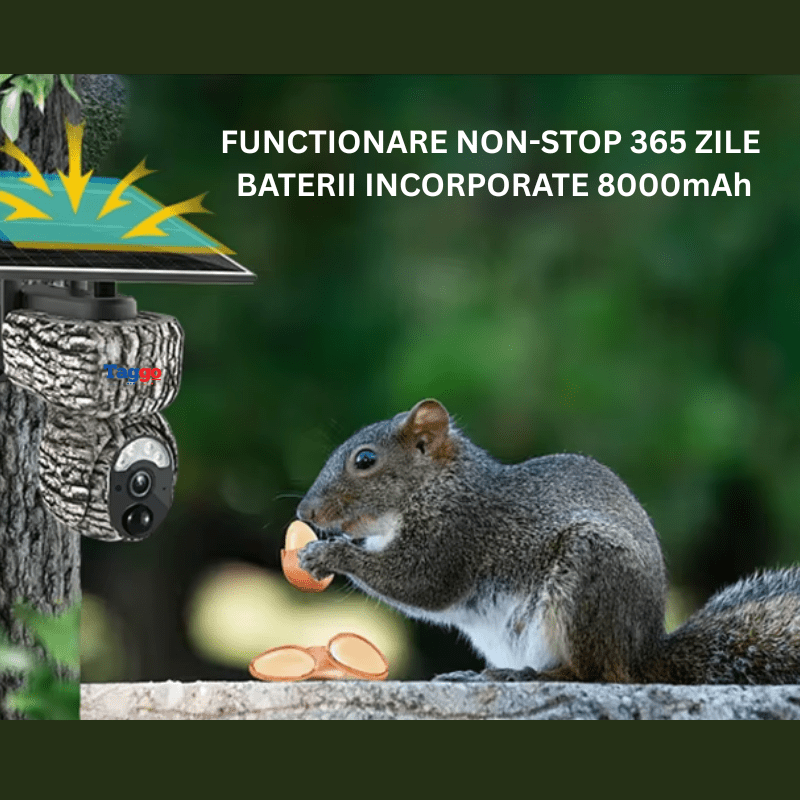 Camera de vânătoare Taggo 4MP cu conexiune 4G, GPS, detectare animale și alarmă, pentru supraveghere în mediul natural.