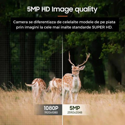 Camera de supraveghere Black 5MP Taggo.ro cu incarcare solară, rotire din aplicație și rezistență IP66, pentru securitate eficientă