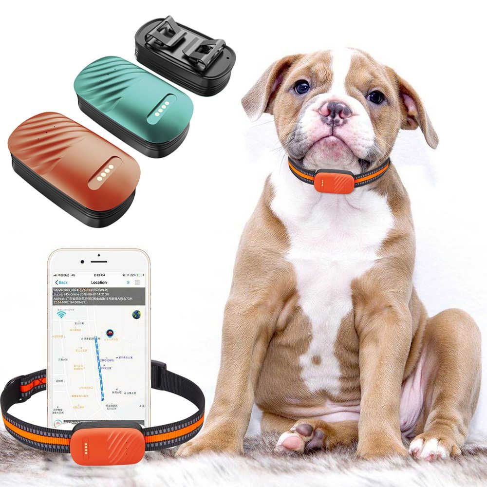 Tracker GPS 4G pentru Animale, Impermeabil, Localizare in Timp Real pentru Caini si Pisici, cu Aplicatie Gratuita - Taggo.ro