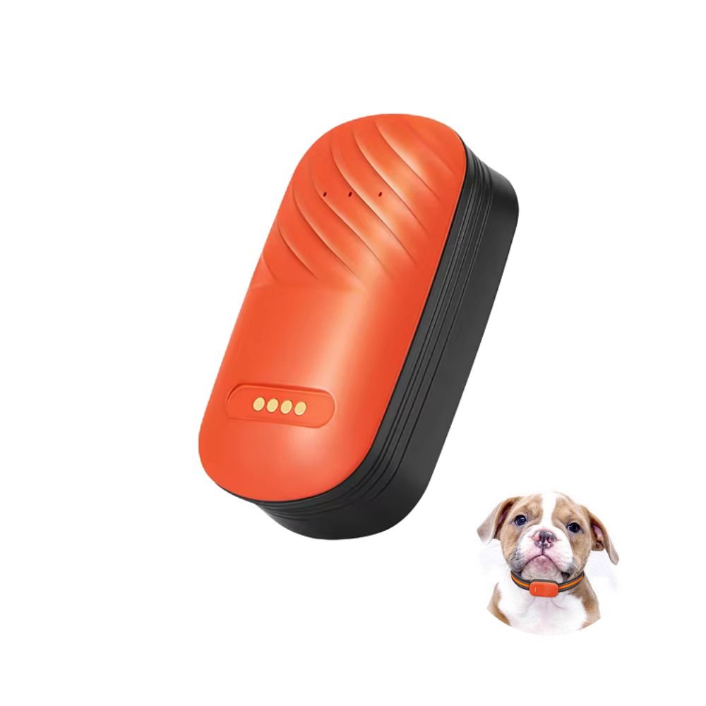 Tracker GPS 4G pentru Animale, Impermeabil, Localizare in Timp Real pentru Caini si Pisici, cu Aplicatie Gratuita - Taggo.ro