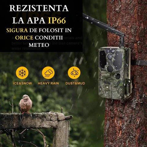 Camera de vânătoare Taggo WISTINO 4G 14 MP, rezoluție 2.7K, 38 LEDuri 940nm, unghi 120°, aplicație telefon UCON.