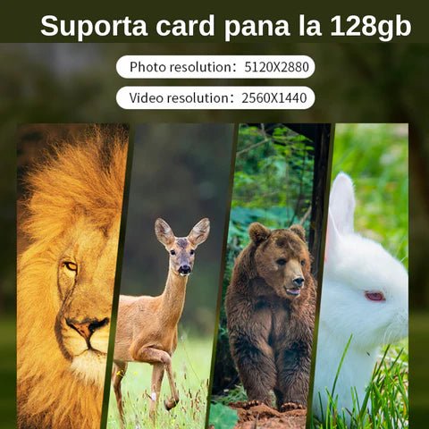 Camera de vânătoare Taggo WISTINO 4G cu încărcare solară, rezoluție 2.7K, PIR 20m, unghi 120°, suport card 128GB, LED 940nm
