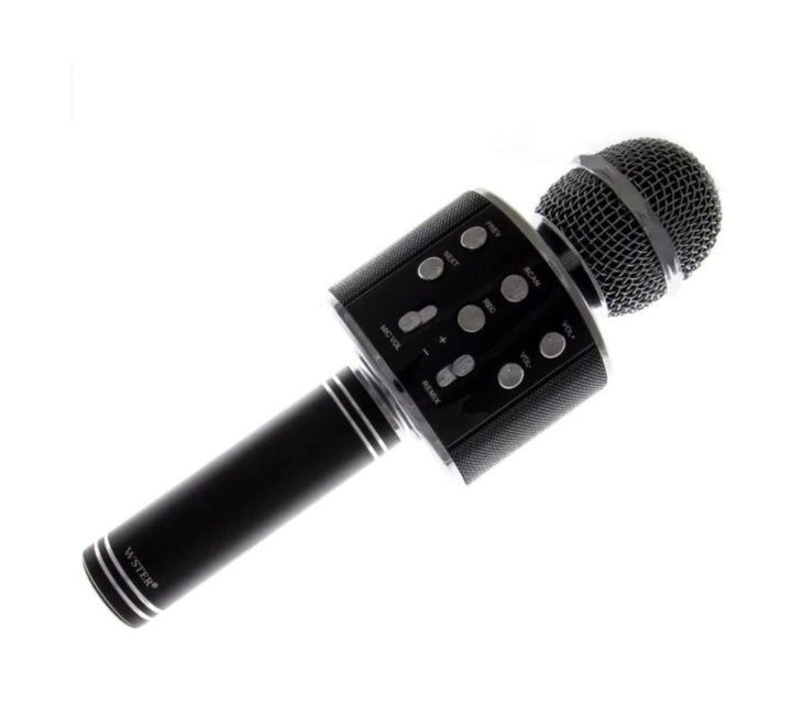Microfon Karaoke KTV cu boxa incorporata slot auxiliar si microSD WS858 - Taggo.ro